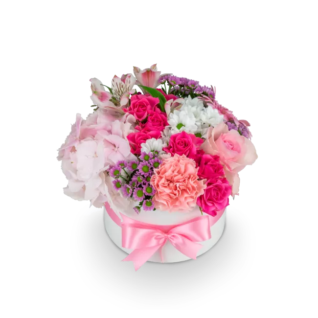 Box růžových květin